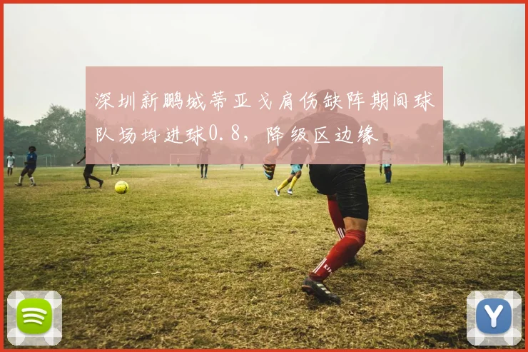 深圳新鹏城蒂亚戈肩伤缺阵期间球队场均进球0.8,降级区边缘